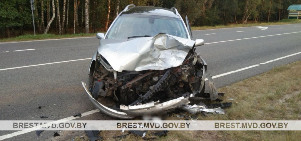 Два автомобиля столкнулись лоб в лоб в Каменецком районе