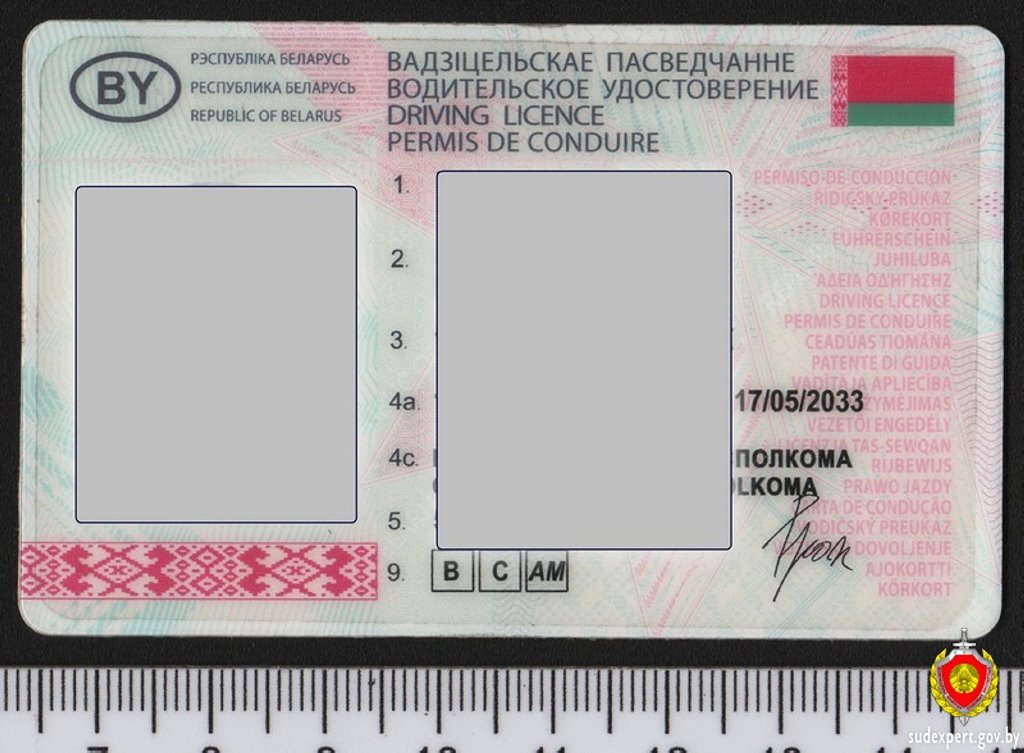 Белорус предъявил водительское удостоверение и стал фигурантом уголовного дела. Почему?