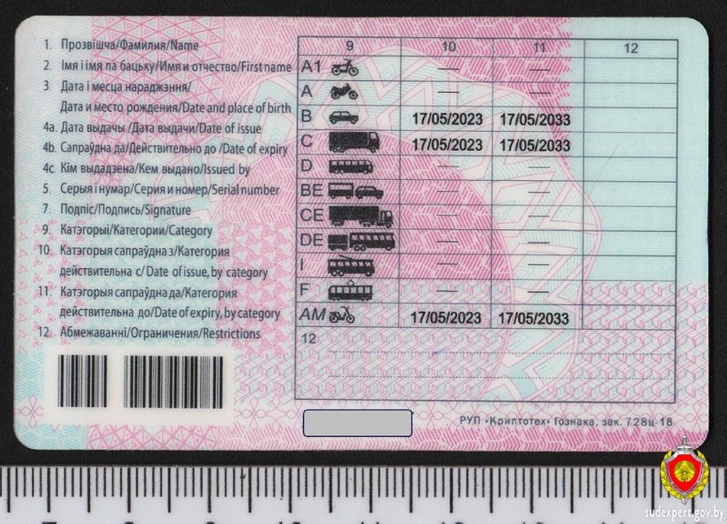 Белорус предъявил водительское удостоверение и стал фигурантом уголовного дела. Почему?