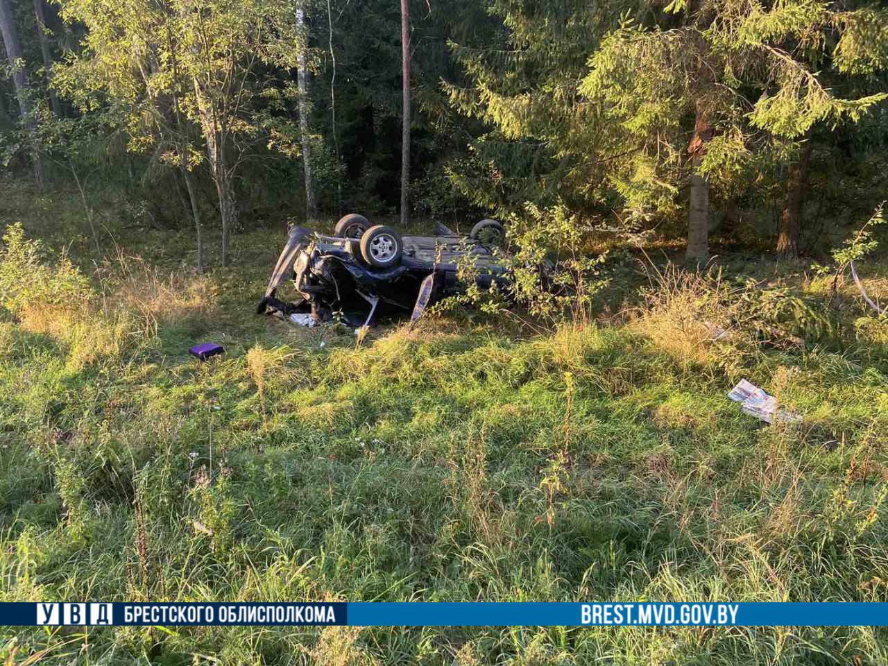 Все произошло из-за лося. В Брестской области перевернулся Volkswagen