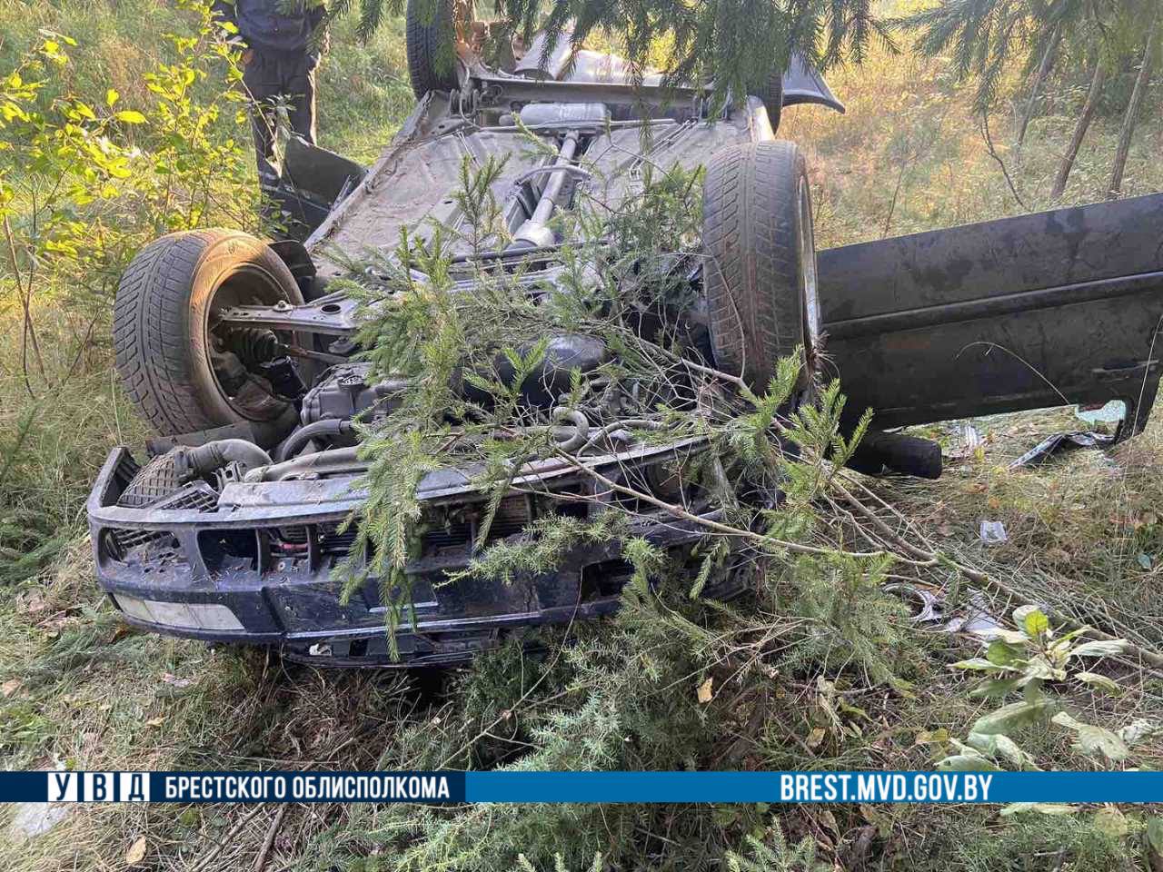 Все произошло из-за лося. В Брестской области перевернулся Volkswagen