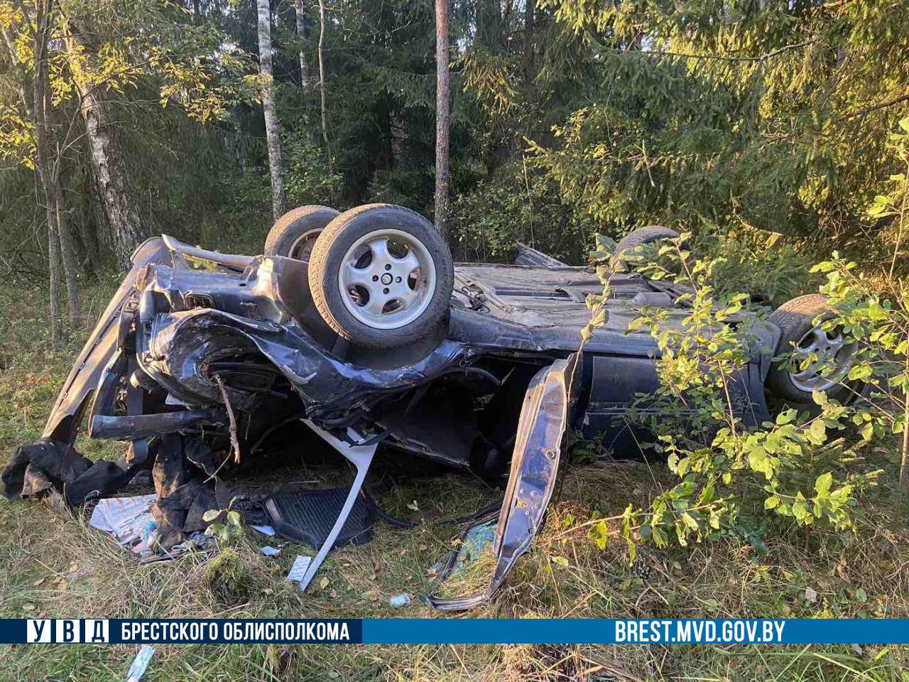 Все произошло из-за лося. В Брестской области перевернулся Volkswagen