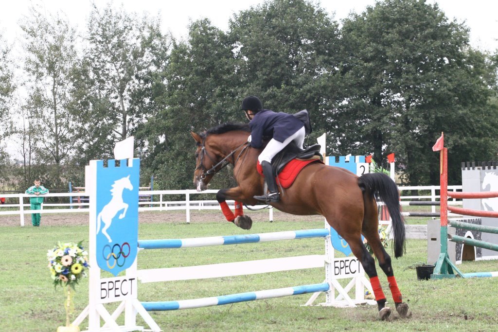 В Бресте 31 августа пройдет фестиваль «Конная Фиеста»: программа