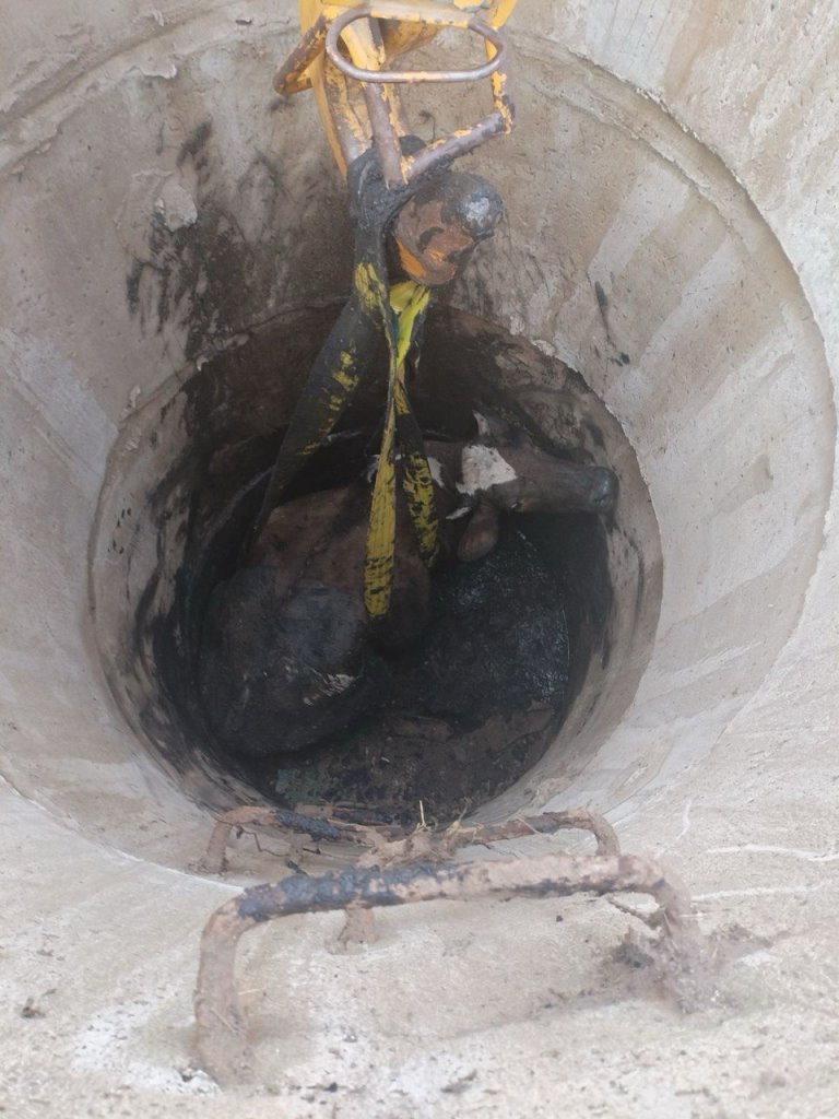 Корова упала в колодец — вот как ее доставали