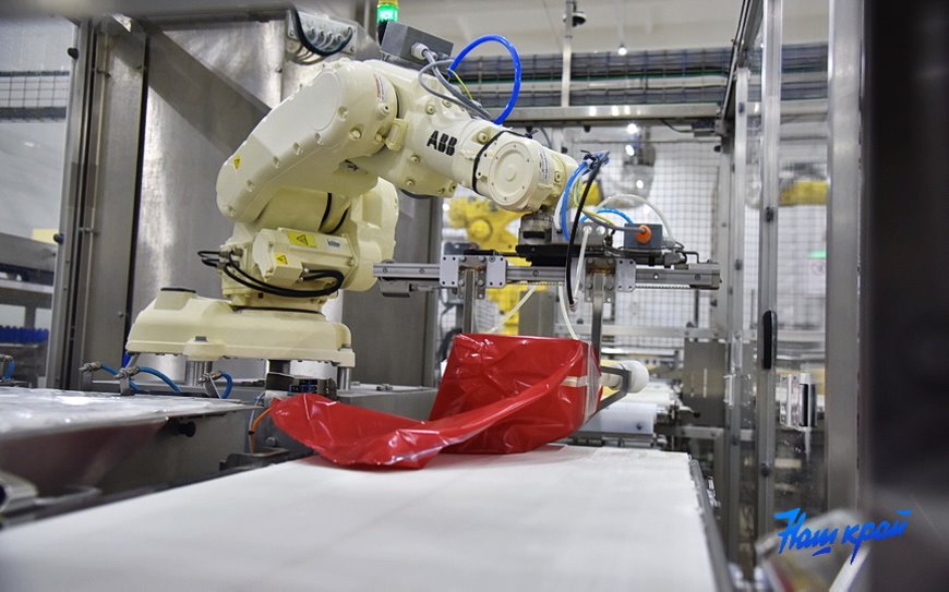 Что произошло в цехе «Савушкина продукта» в Барановичах и Березе