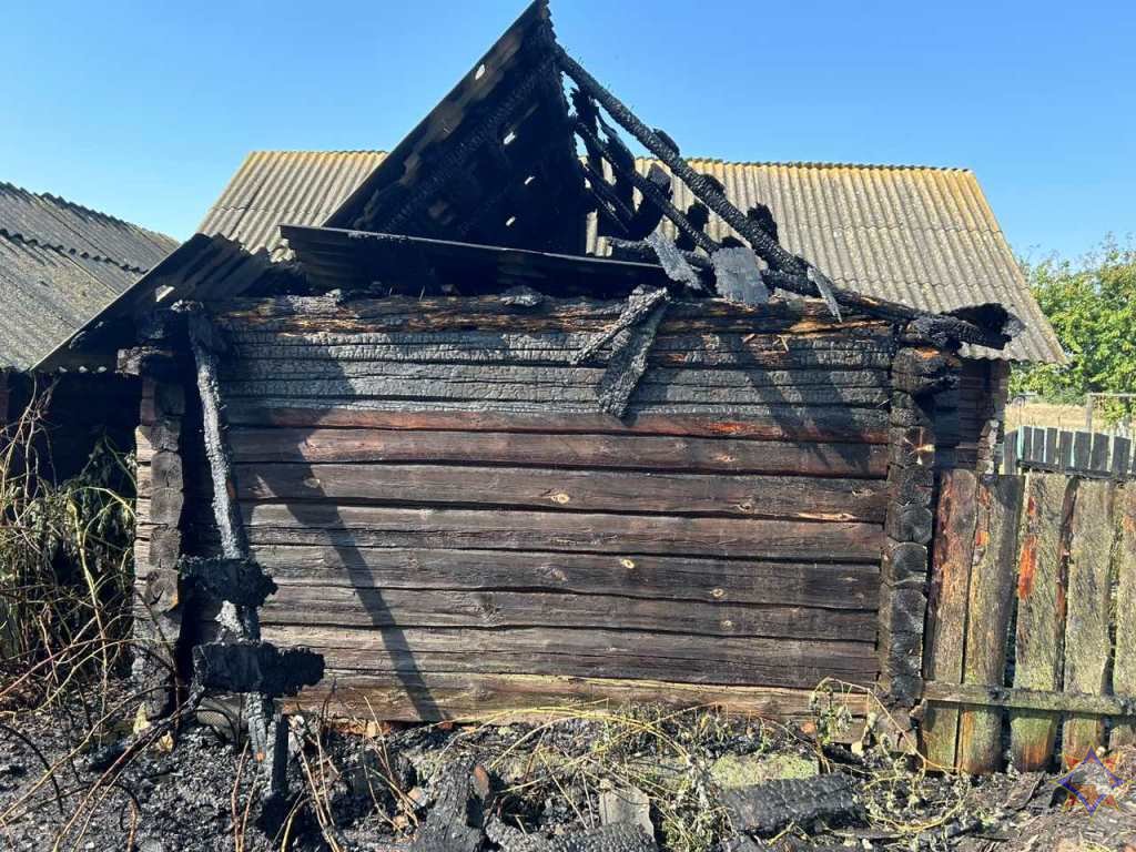 В Ганцевичском районе горела сухая растительность: пенсионерка получила ожоги