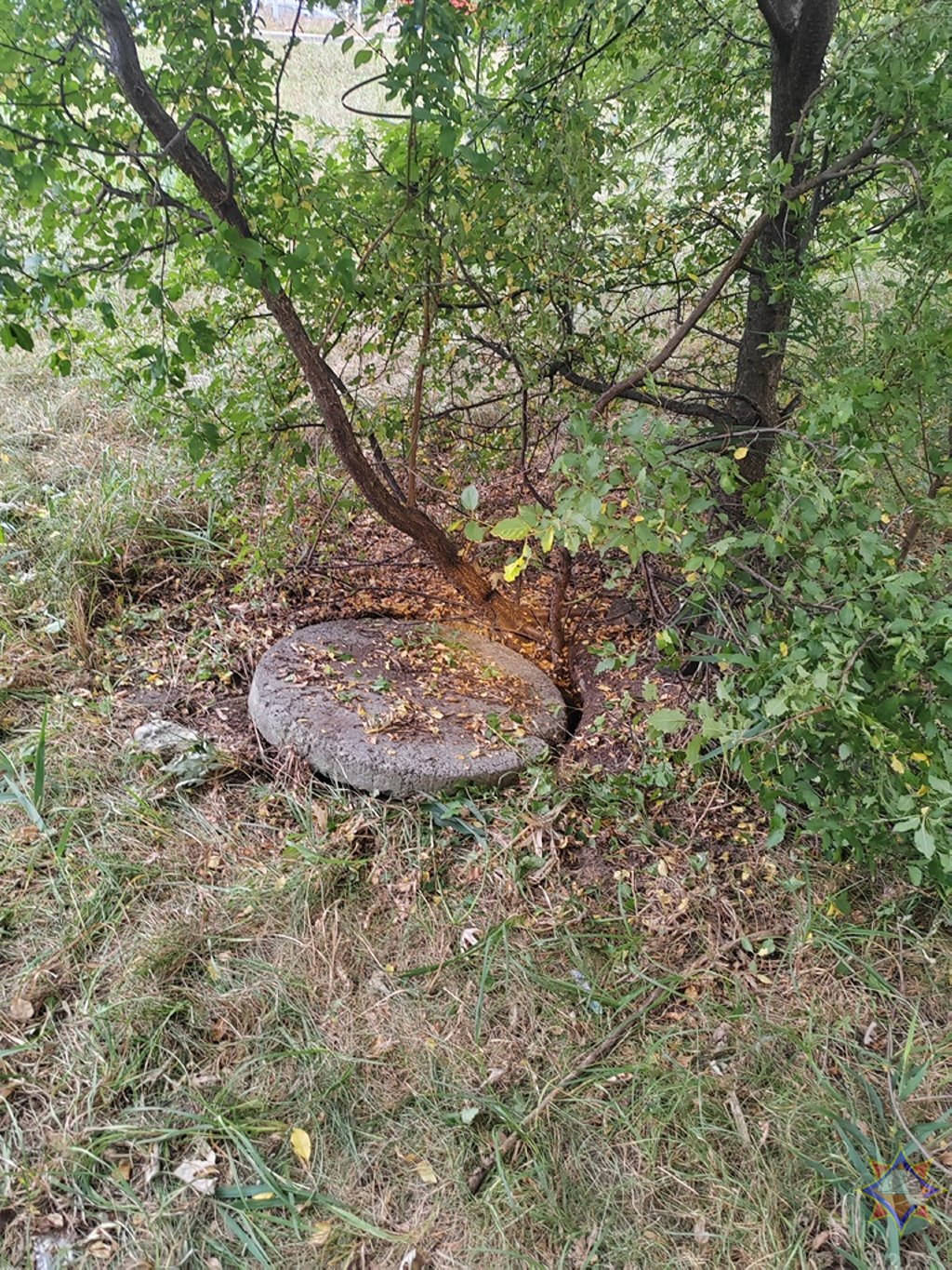 В Бресте спасатели помогли котенку, который упал в коллектор