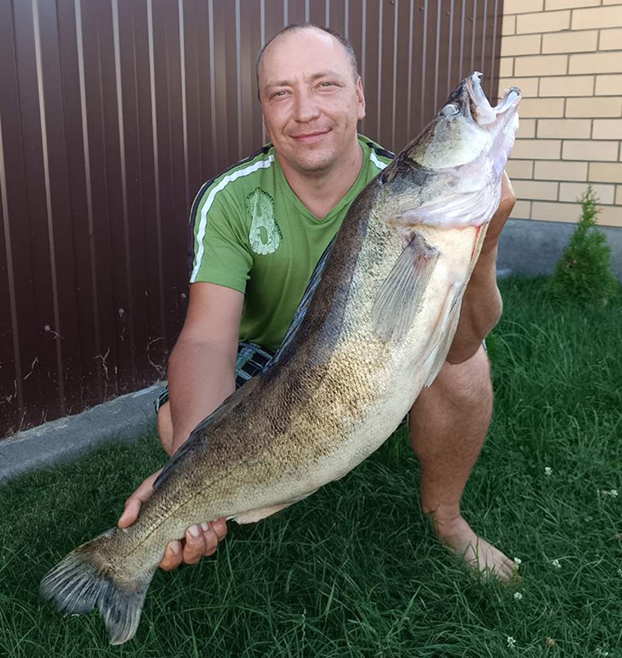 «Подсечка – и началась борьба»: рыбак поймал самого большого в стране судака