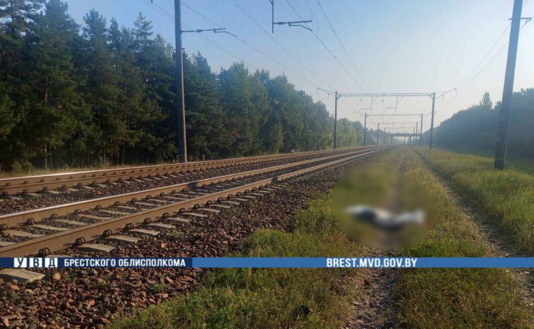 В Бресте поезд сбил 16-летнюю девушку