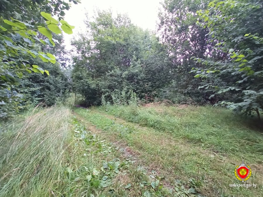 Белорус обнаружил на берегу реки очень необычную находку. Что за она?