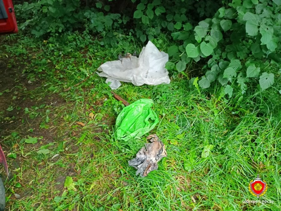 Белорус обнаружил на берегу реки очень необычную находку. Что за она?