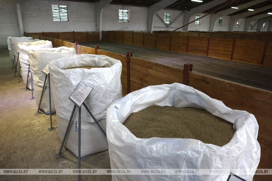 Александр Лукашенко совершает рабочую поездку в Пинский район Брестской области, где посещает ОАО «Парохонское»