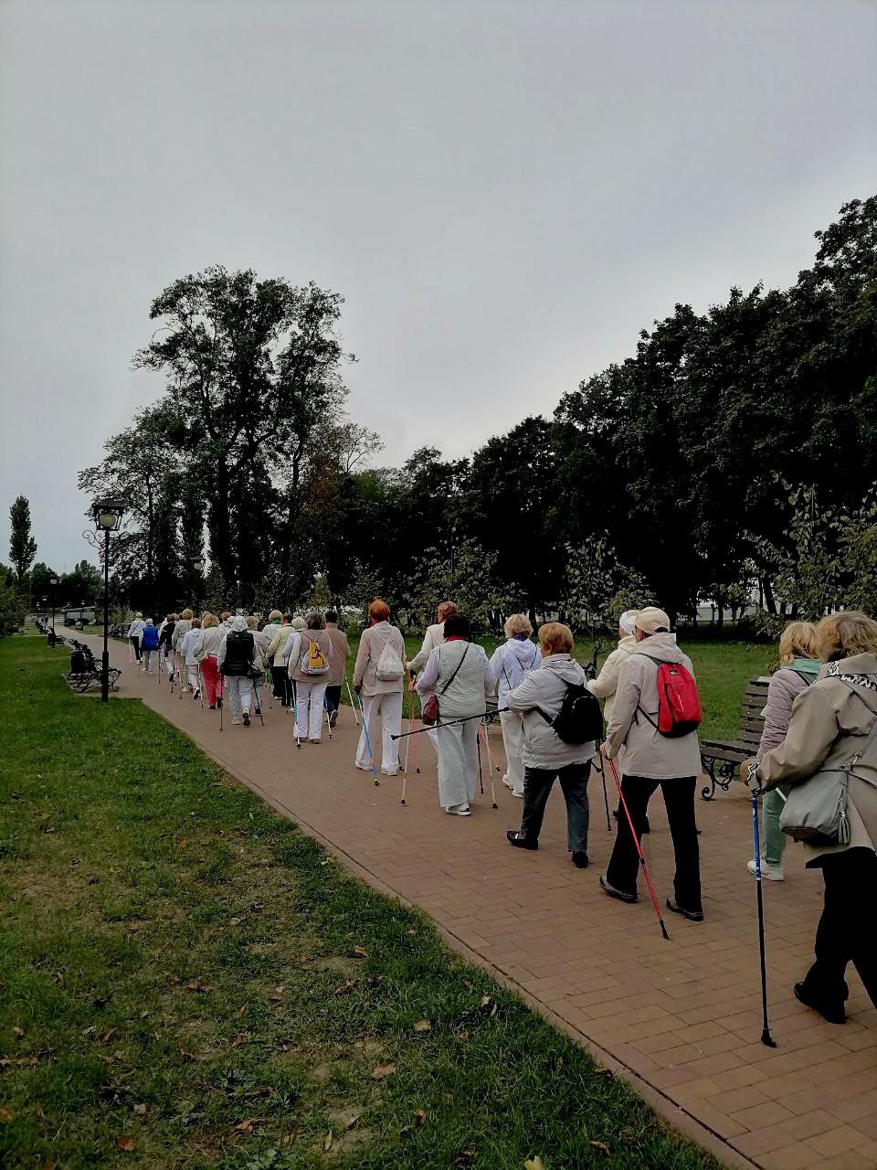 Брестчане старшего поколения участвовали в республиканском марафоне по скандинавской ходьбе