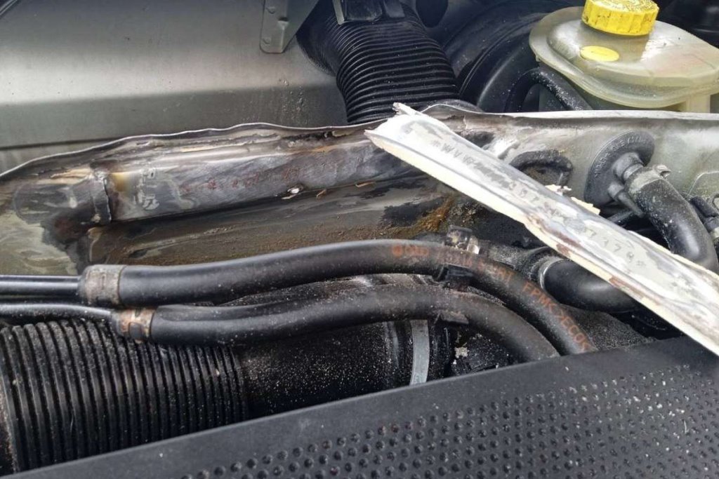 Фото из открытых источников (иллюстративное)