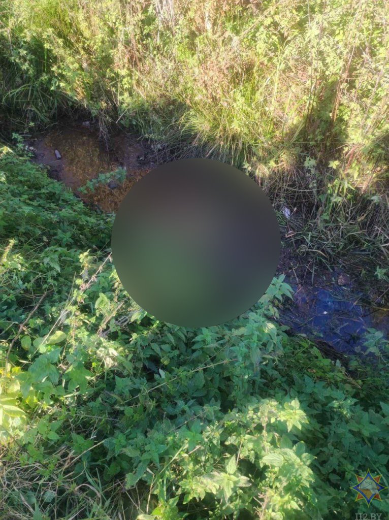 Трагедия в Брестском районе: утонувший мужчина найден в мелиоративном канале