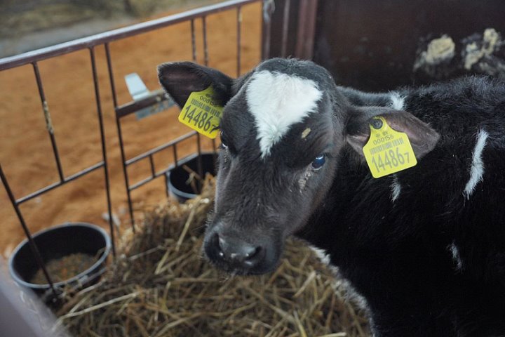 Животновод из Беларуси показала расчетник за август: впечатляющая сумма!