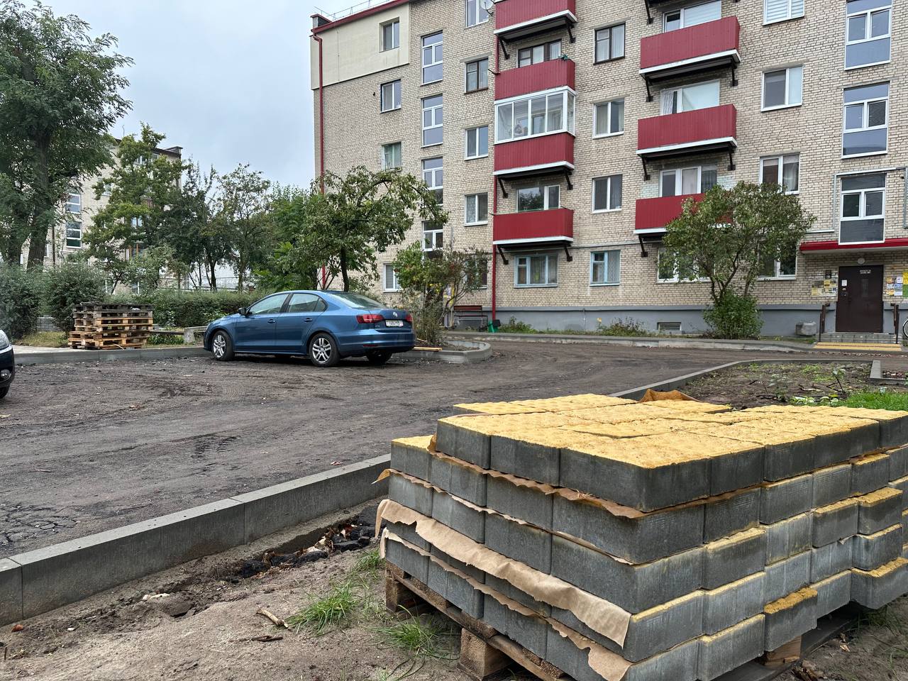 Брест становится зеленее: более 24 тысяч деревьев к концу 2024 года