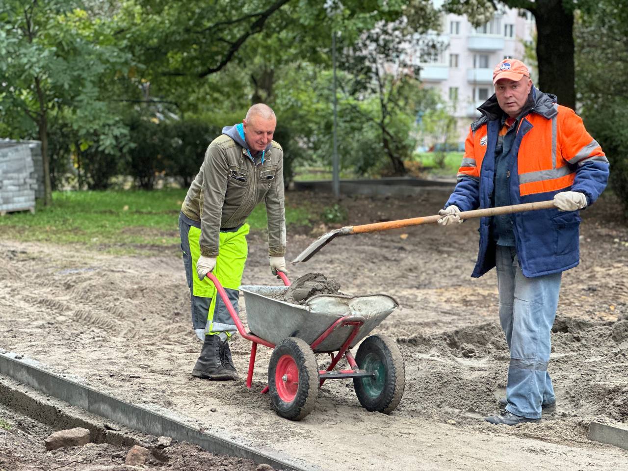 Брест становится зеленее: более 24 тысяч деревьев к концу 2024 года