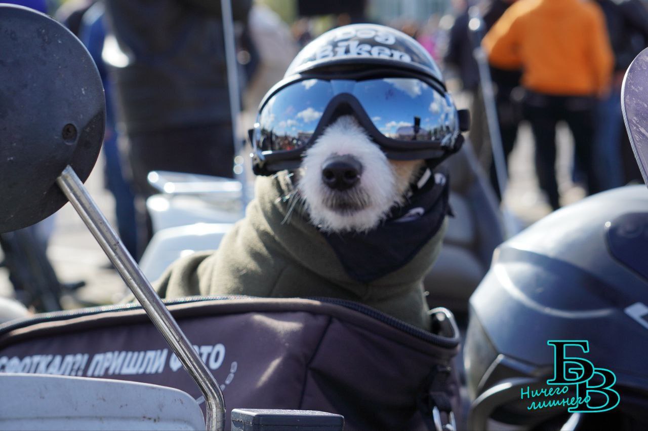 Шумно, брутально с множеством активностей прошло закрытие мотосезона в Бресте