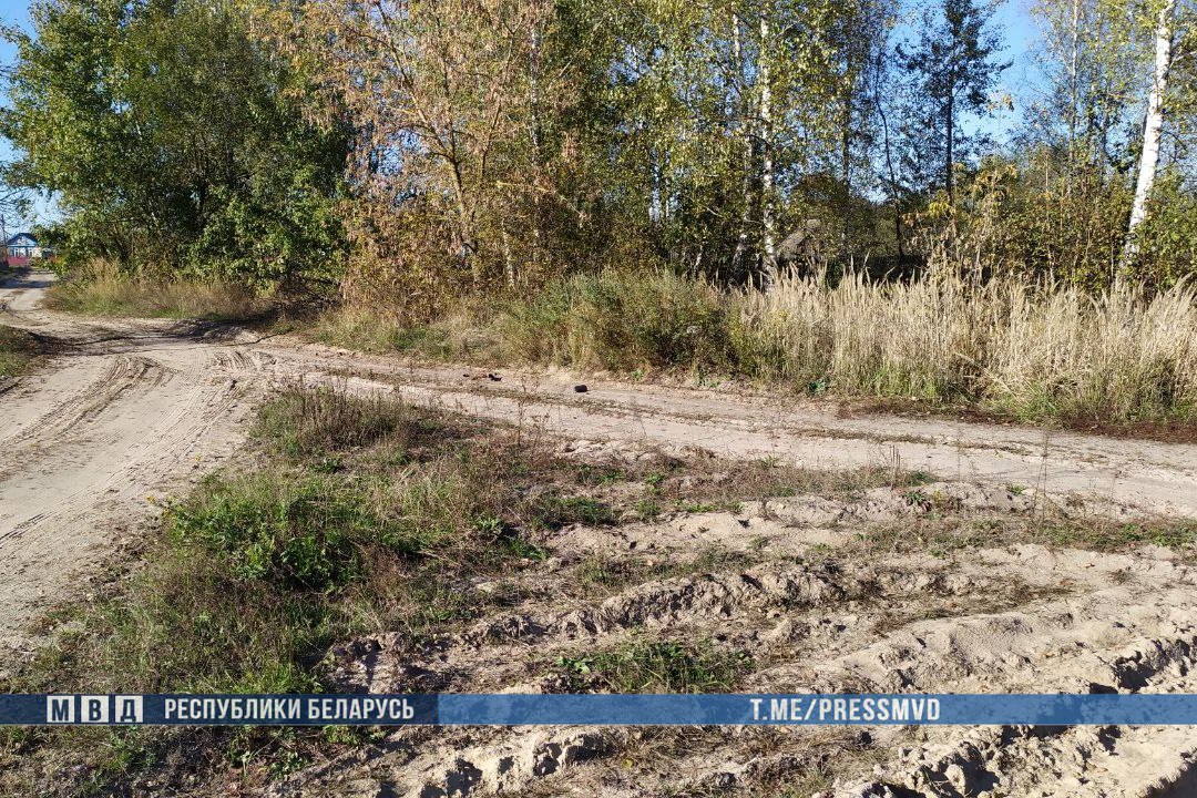 Трагедия в Петриковском районе: под колесами грузовика погиб пятилетний мальчик