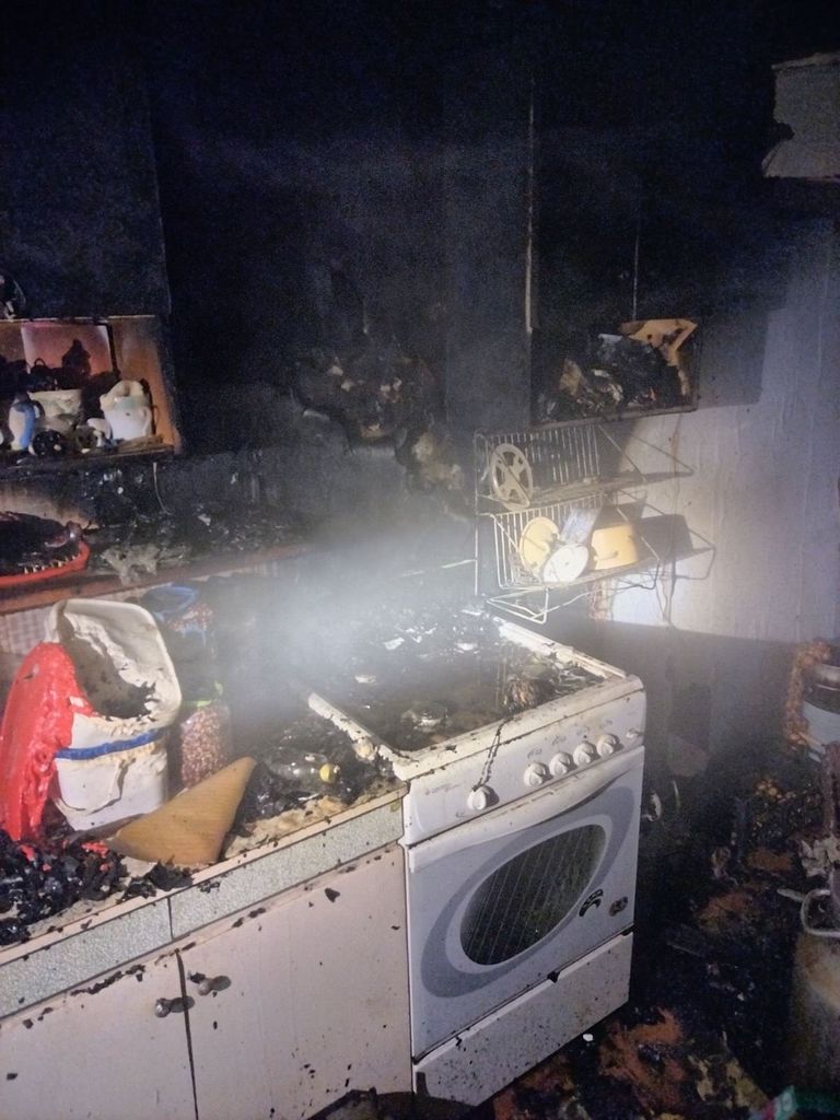 Белоруска сушила грибы и чуть не сожгла дом