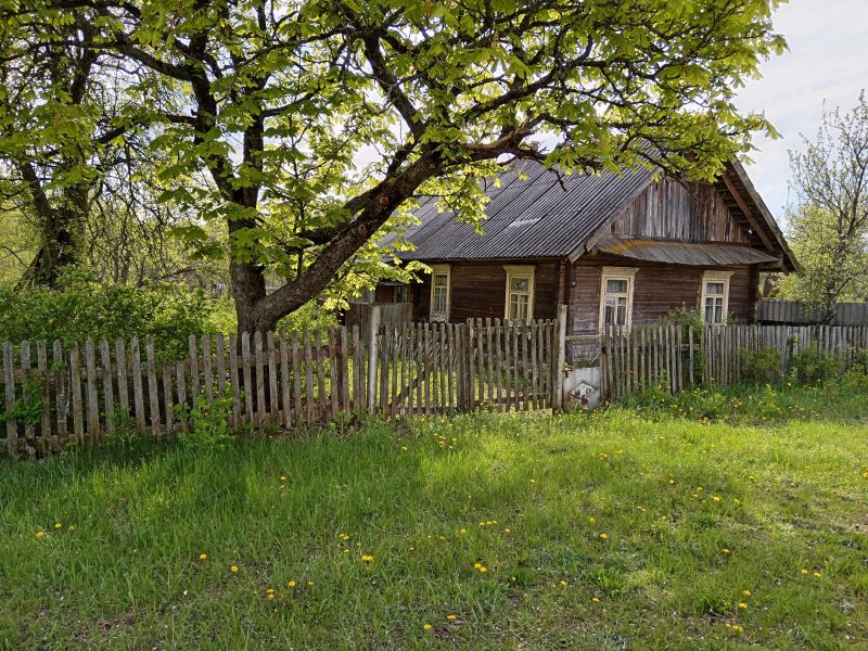 В этом году белорусы купили уже больше тысячи пустующих домов — это рекорд