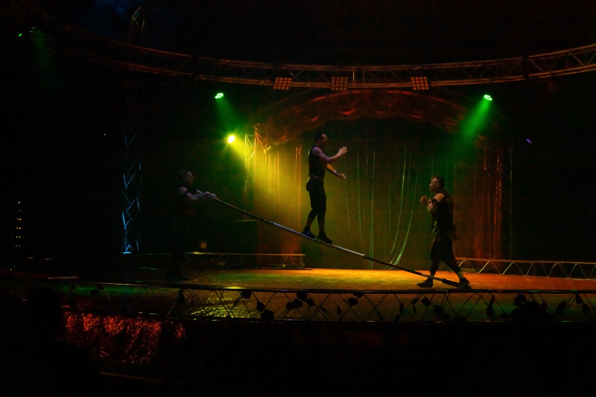 Впервые в Бресте цирк шапито Сириус с программой Тайна Планеты обезьян