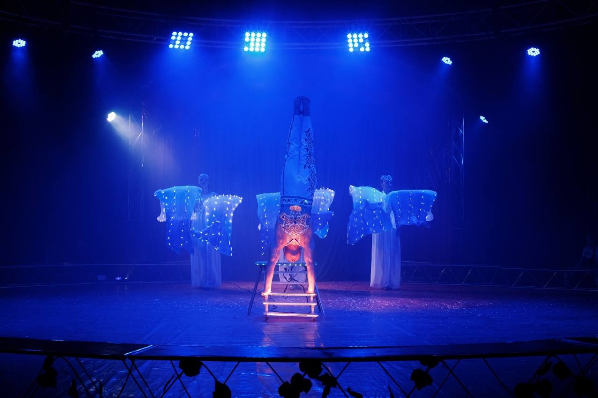 Впервые в Бресте цирк шапито Сириус с программой Тайна Планеты обезьян