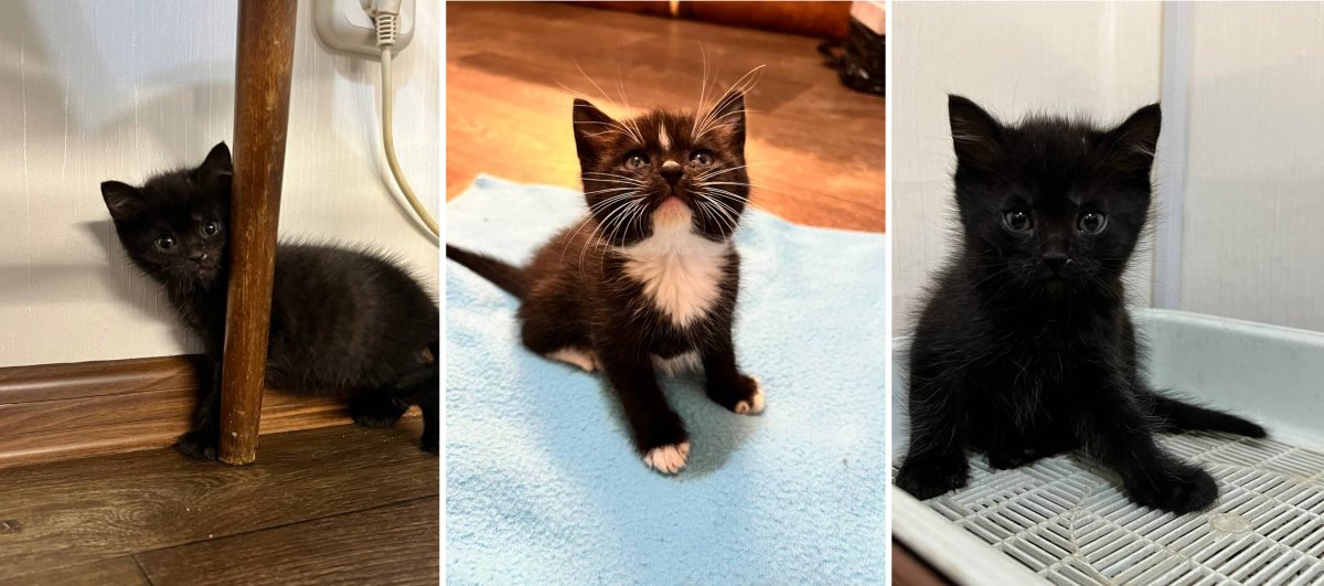 В Беларуси мальчик нашёл в автобусе коробку, которая была заклеена скотчем. И вы не поверите, что там было!