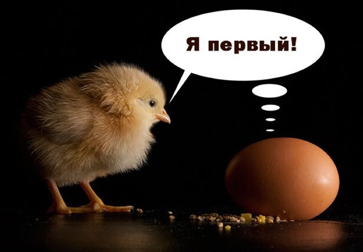 Что было первым: курица или яйцо? Ответ ученых