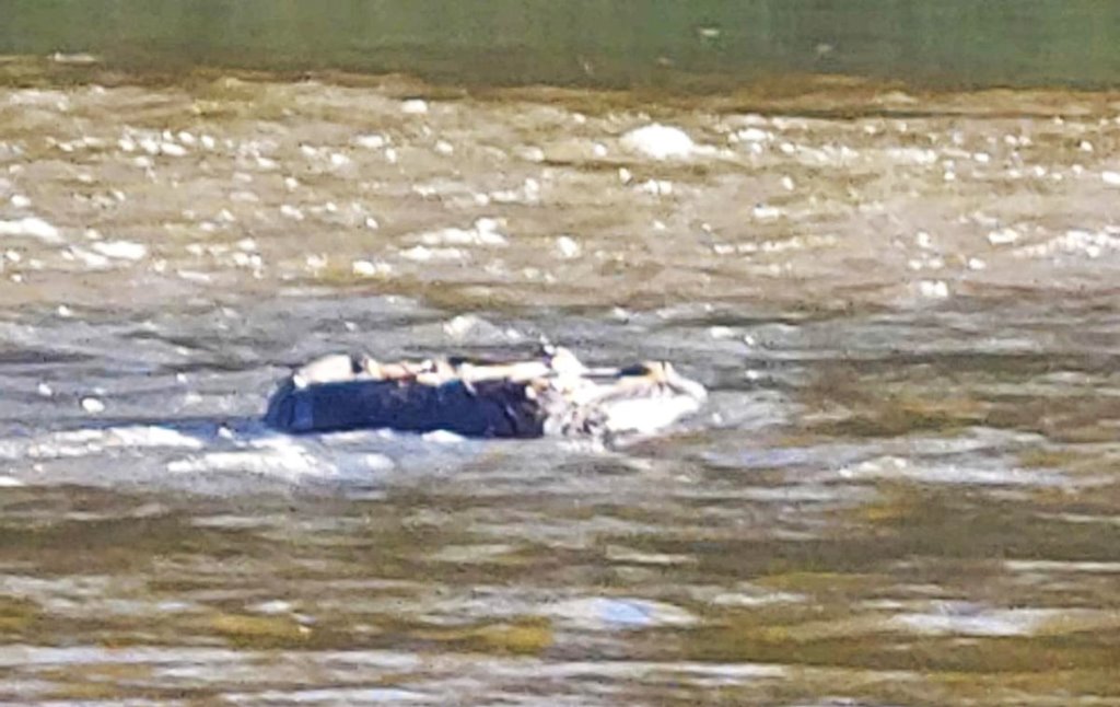 По Неману в Литву приплыло колесо, начиненное белорусскими сигаретами