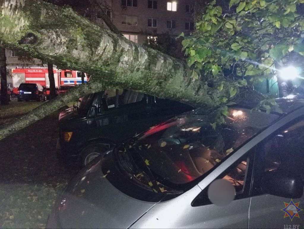 В Бресте и Брестском районе устраняют последствия непогоды: упавшие деревья, поврежденные кровли и автомобили