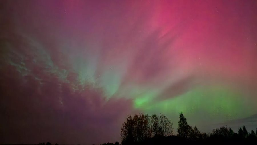 Фото: из личного архива Ирины Гимро