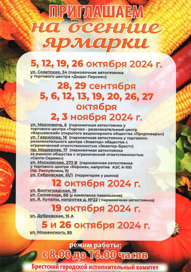 В Бресте продолжаются осенние ярмарки — узнали актуальные цены