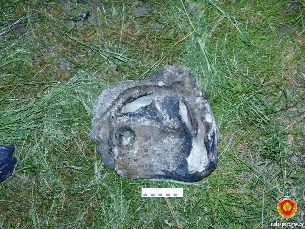 В Пинском районе мальчик получил ожоги при заправке бензотриммера