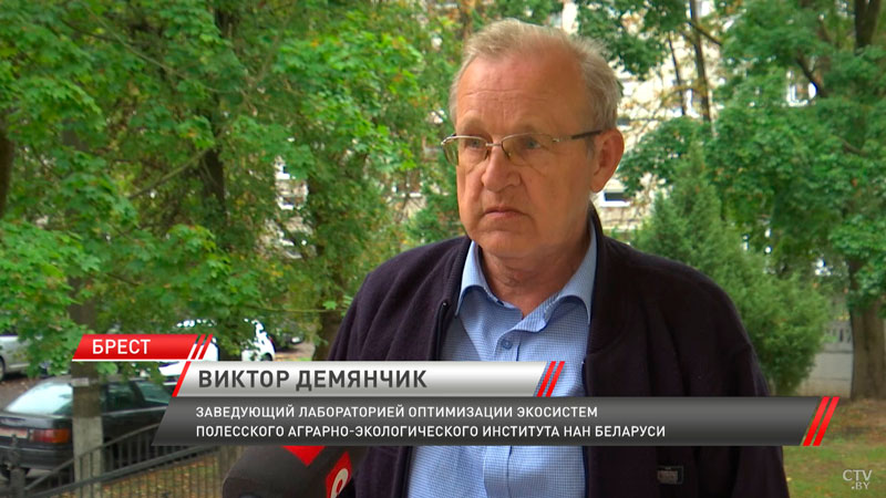 В Бресте нашли два новых вида грибов, которые раньше не встречались в Беларуси