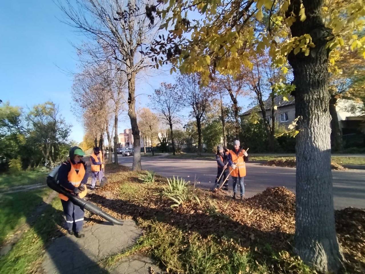 В Бресте полным ходом идёт уборка опавшей листвы и мусора с газонов