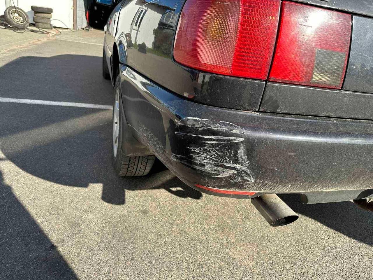 Водитель сбил косулю, выбежавшую на трассу М1 под Брестом