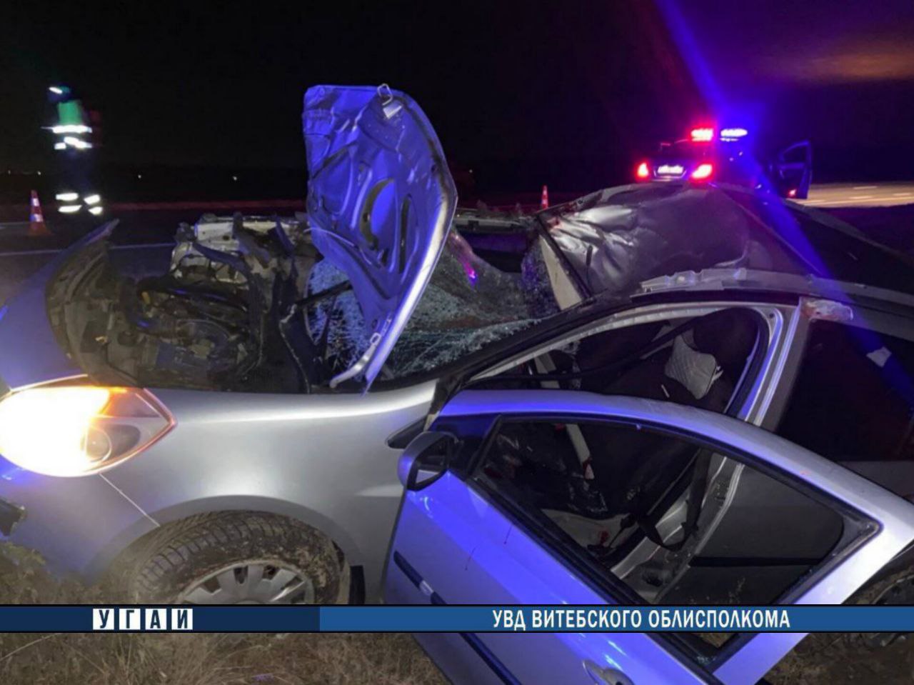 Лось стал причиной смертельного ДТП