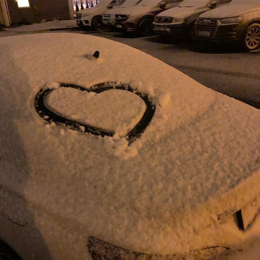 В двух областях Беларуси выпал снег