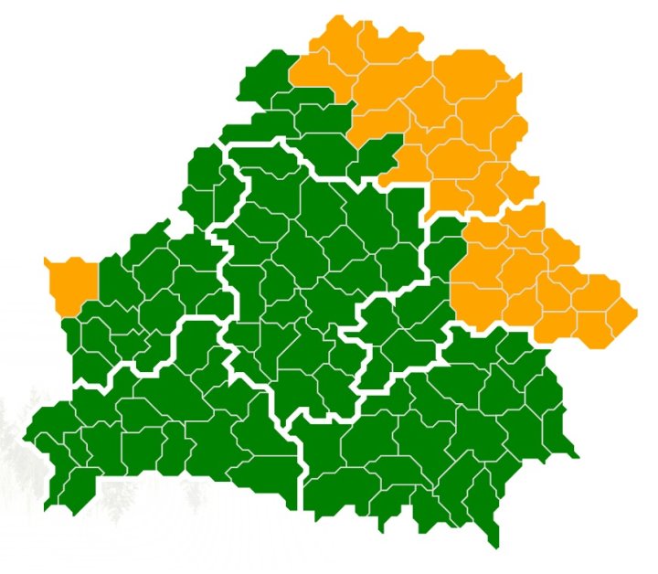 В Брестской области сняты ограничения на посещения лесов