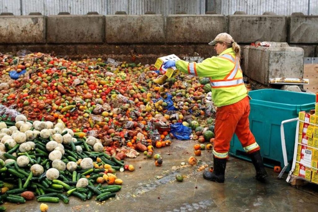 Сколько еды человечество выбрасывает в мусор – исследование