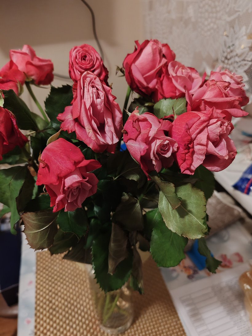 Белорус утром купил розы, а к вечеру они завяли. Могут ли заменить цветы?