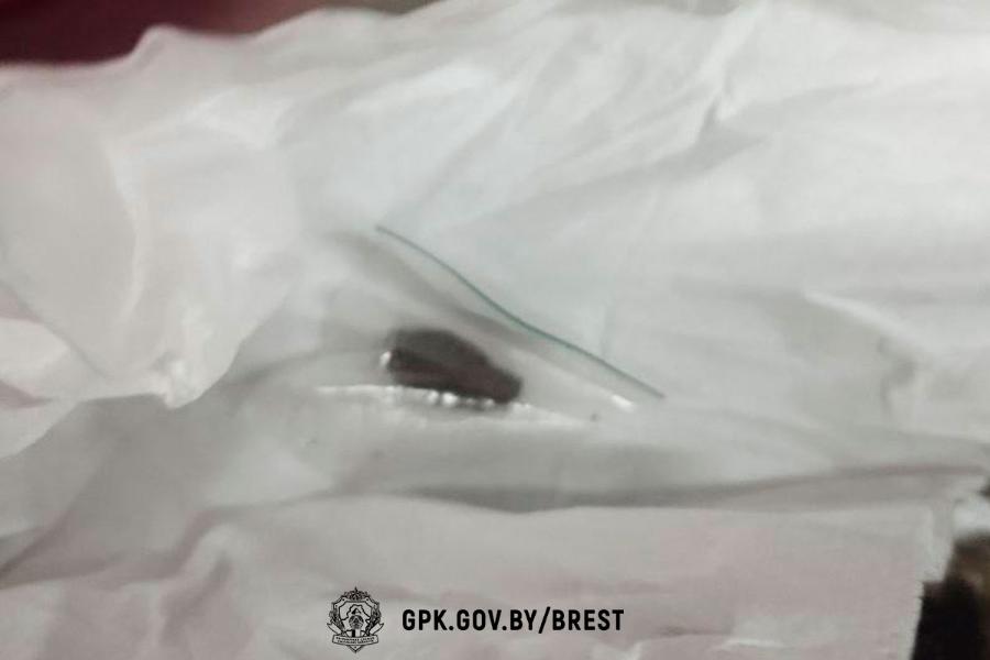 На границе в Бресте служебная собака среагировала на куртку. Что там нашли?