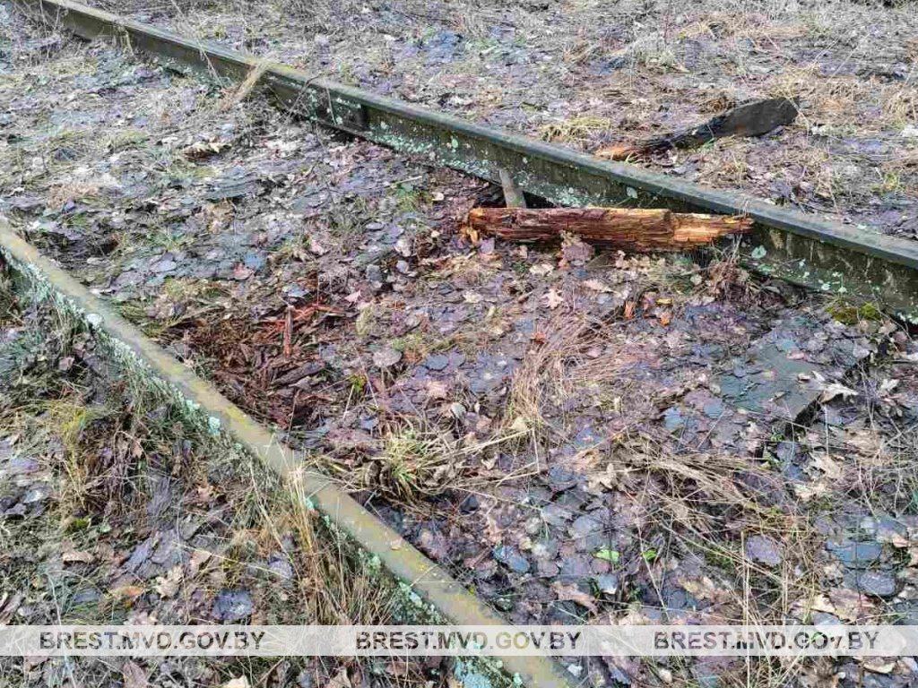 Житель Пинска решил разобрать на металлолом железнодорожные пути