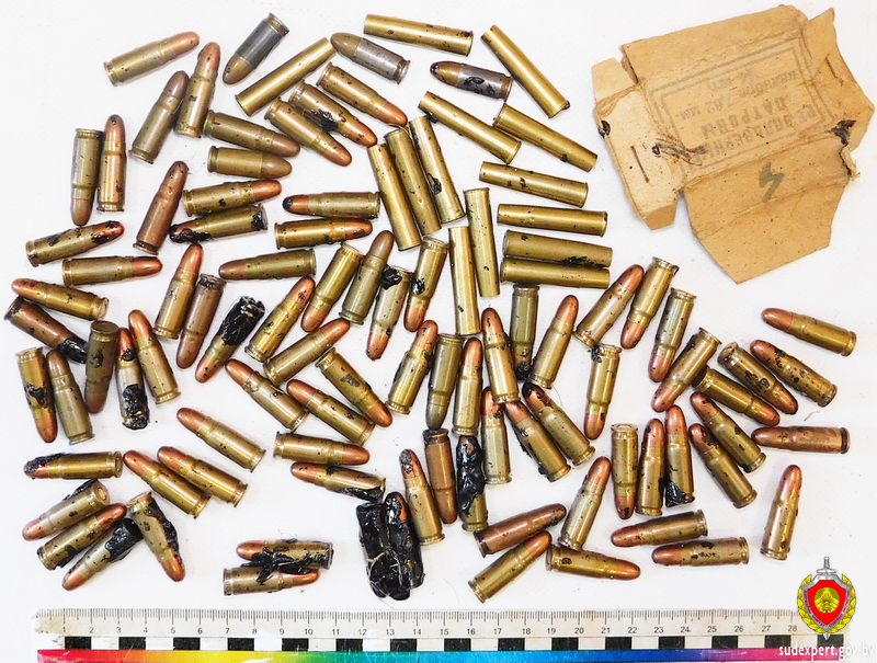 В Брестской области на приусадебном участке пенсионер обнаружил более сотни патронов