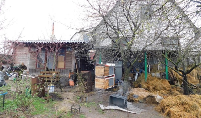 В Молодечно пожилые супруги убили своего зятя