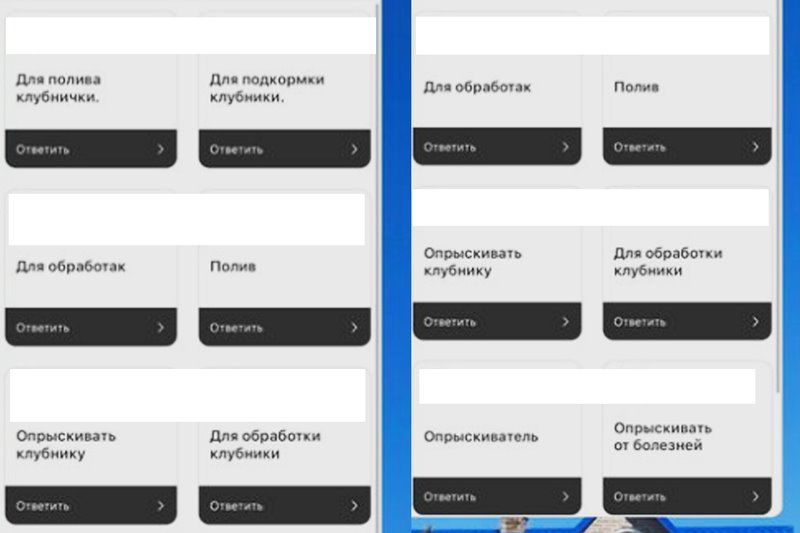Необычный самодельный аппарат для ухода за клубникой показала в своем блоге жительница Брестской области