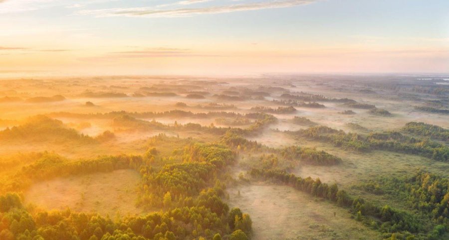Отдых на природе. Топ-5 живописных мест в Беларуси, где стоит побывать этой весной