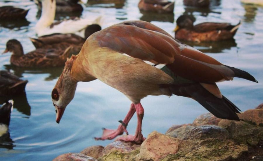 Отдых на природе. Топ-5 живописных мест в Беларуси, где стоит побывать этой весной